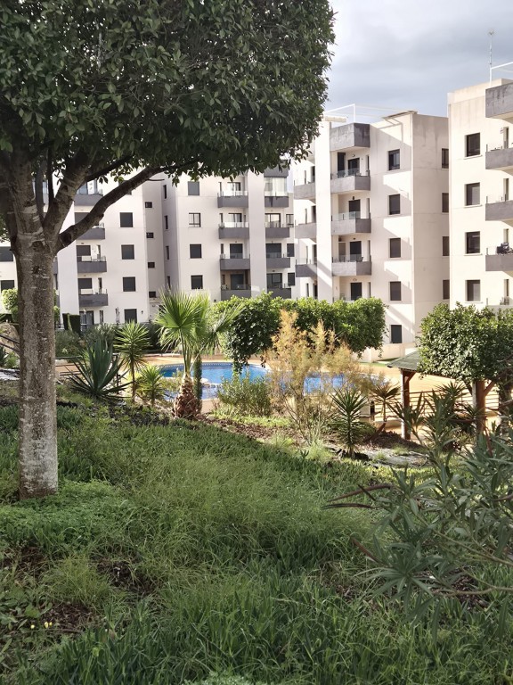 2 bedroom Apartment in San Miguel de Salinas