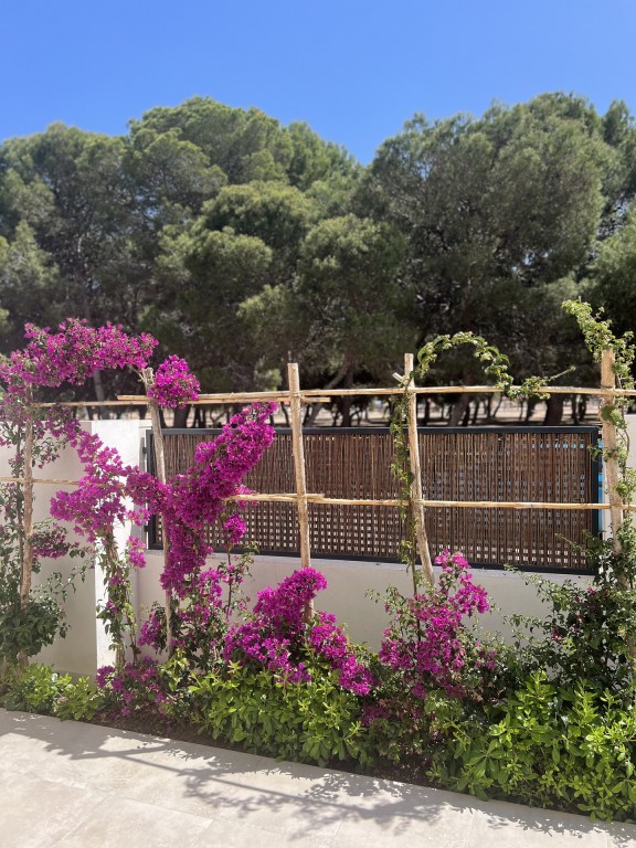 Apartment in Santiago de la Ribera 17