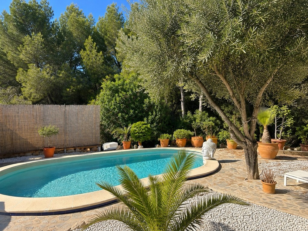 Property 24