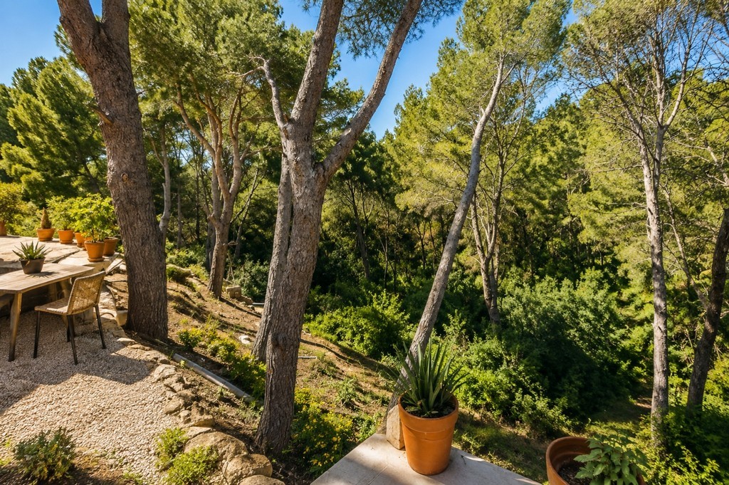 Property 27
